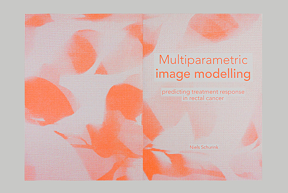 PROEFSCHRIFT ONTWERP: NIELS SCHURINK – MULTIPARAMETRIC IMAGE MODELLING