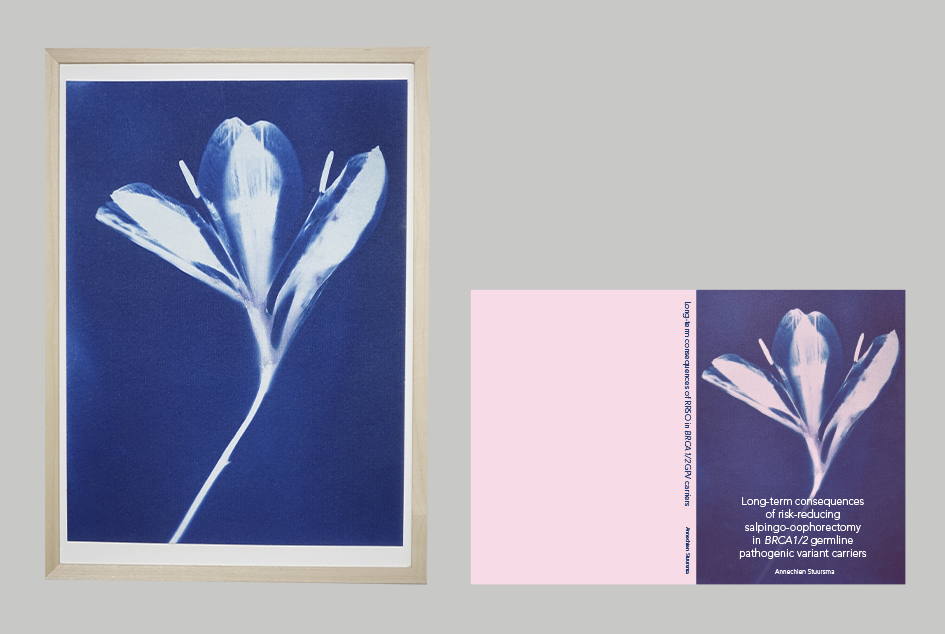 blauwdruk in opdracht_anniek stuursma