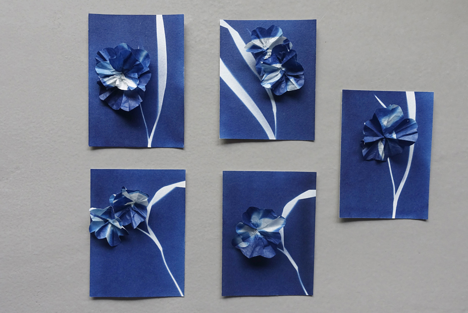 BOTANISCHE BLAUWDRUKKEN (CYANOTYPIE) – 3D KAARTEN