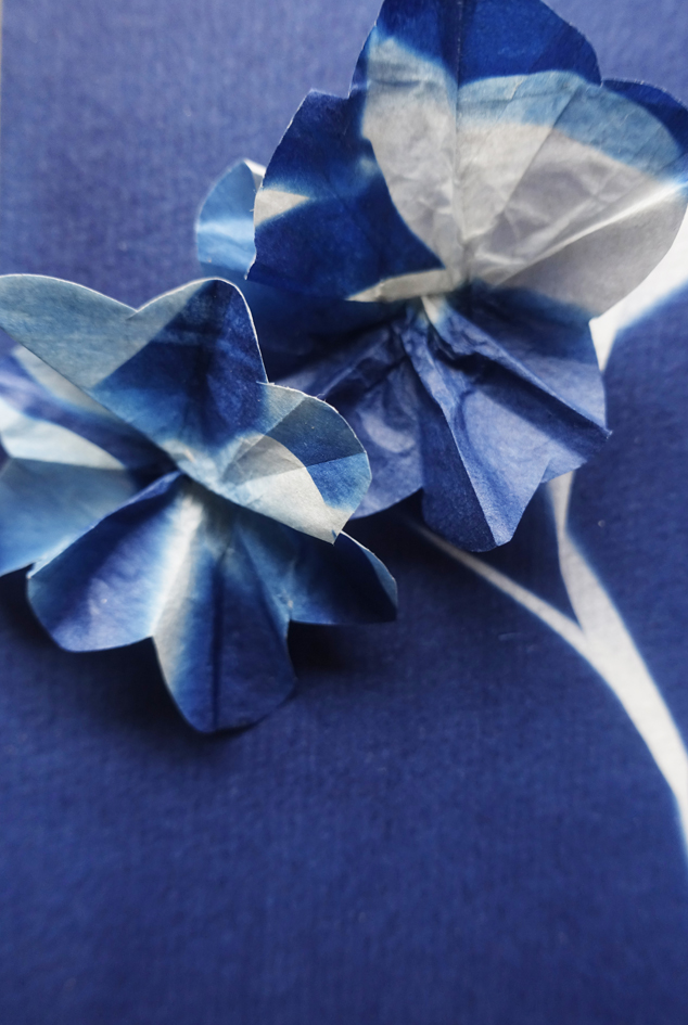blauwdruk_kaarten 3d bloem_4