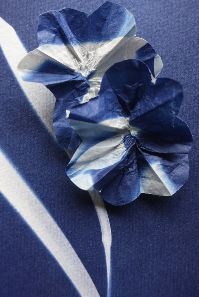 blauwdruk_kaarten 3d bloem_5