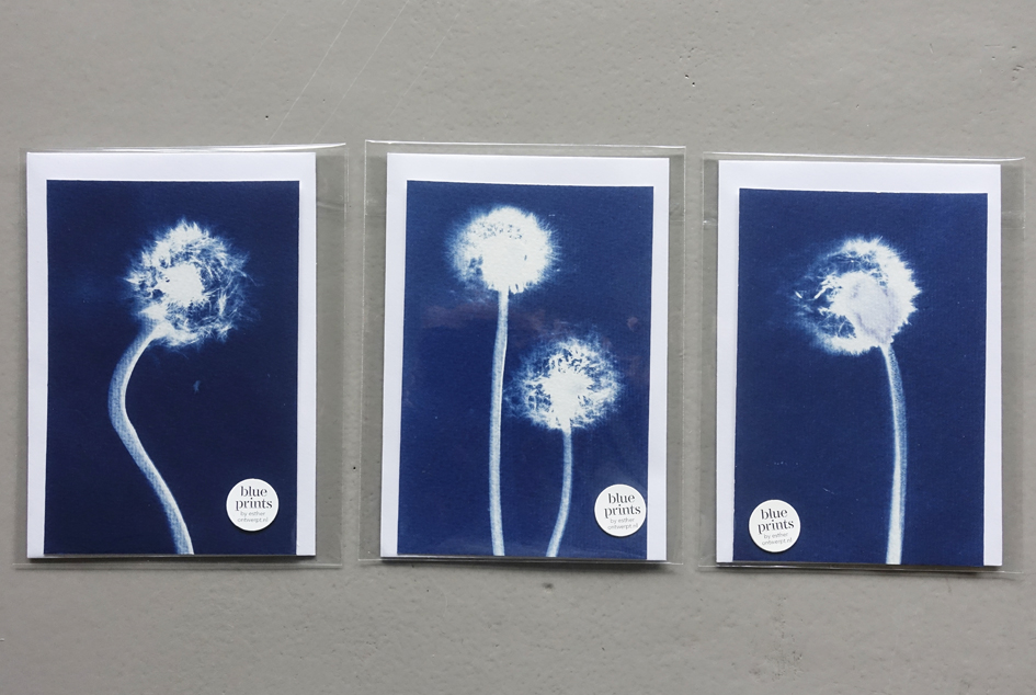 blauwdrukkaarten_paardebloemen